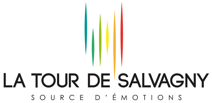 Résultat de recherche d'images pour "logo la tour de salvagny"